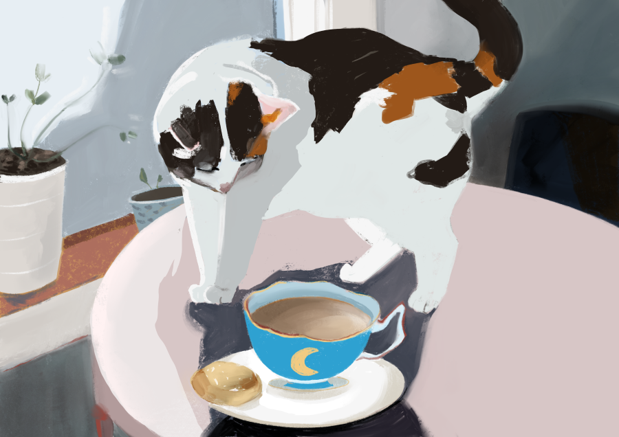 Curiositea